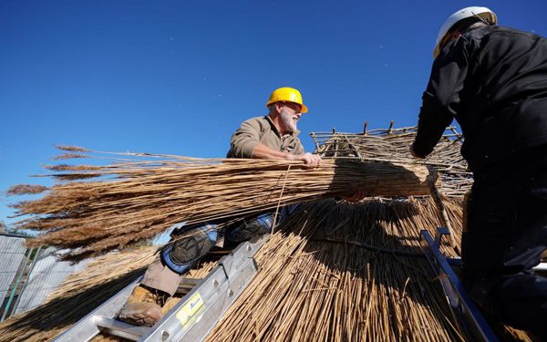 Rơm không chỉ để đốt, giờ có thể xây nhà, trường học, văn phòng