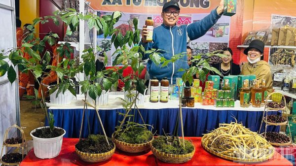 Rộn ràng Lễ hội sâm Ngọc Linh vùng cao Măng Ri