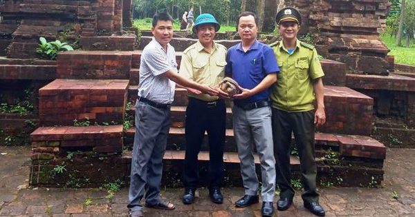Rùa đất quý hiếm nặng 4 kg trở về rừng di sản Mỹ Sơn