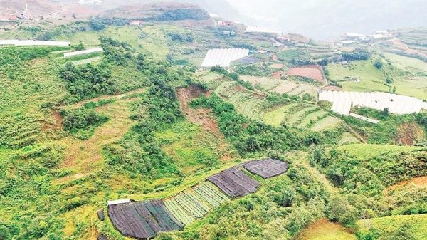 Sa Pa ứng dụng công nghệ cao sản xuất nông nghiệp