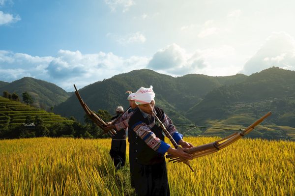 Sắc chàm mở lối sinh kế vùng cao