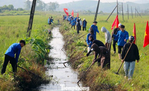 Sắc xanh lan tỏa tình nguyện trên những công trình thủy lợi