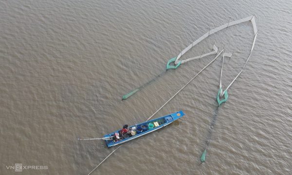 Săn cá trên đồng mùa nước nổi miền Tây