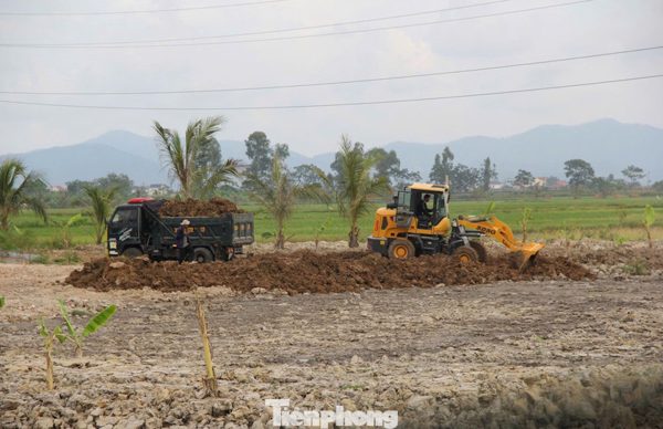 San lấp hơn 4.000m² đất lúa, bị phạt 70 triệu đồng