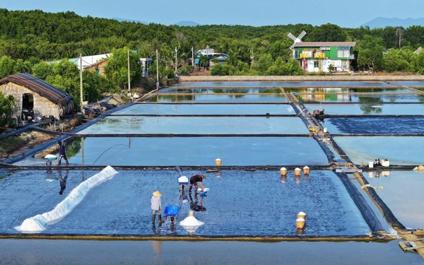 Sản xuất muối Thiềng Liềng tại TP.HCM được công nhận nghề truyền thống