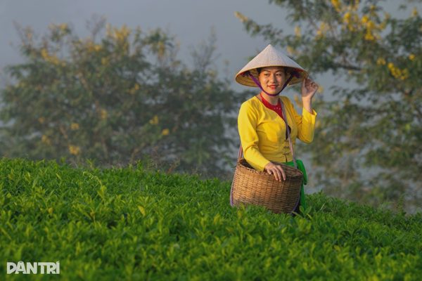 Sáng nay có tọa đàm tìm lời giải để phát triển kinh tế miền núi bền vững