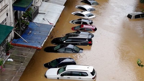 Sắp đấu giá lô xe ô tô bị ngập nước qua nóc, giá từ 2,02 tỷ đồng