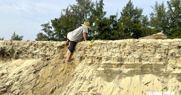 Sạt lở bờ biển Quảng Ngãi, sóng ngoạm sâu 2 m, đe dọa hàng trăm hộ dân