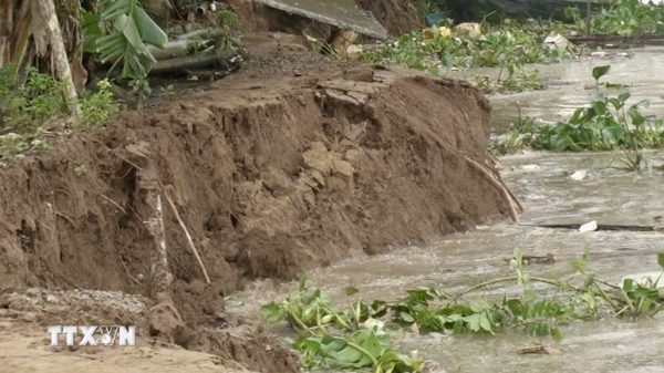 Sạt lở dài 50m ven sông Hậu, An Giang di dời người dân đến nơi an toàn