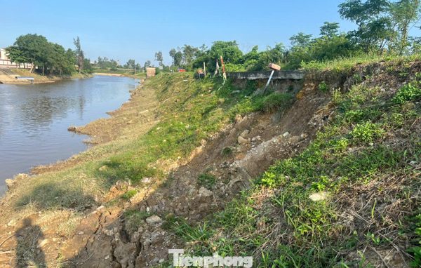 Sạt lở đê, gần 3 nghìn dân thấp thỏm lo âu