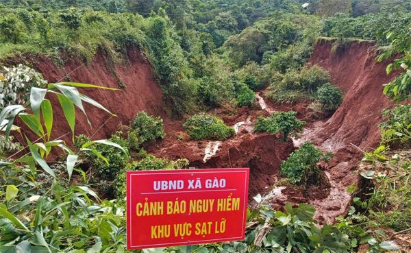 Sạt lở đồi sau mưa lớn vùi lấp nhiều rẫy cà phê, hoa màu ở Gia Lai