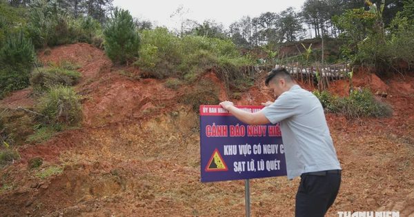 Sạt lở đồi thông ở Đà Lạt đe dọa công trình, đường và hệ thống điện