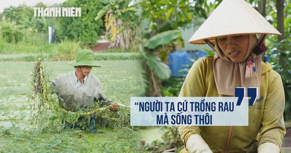 Sau 27 năm quy hoạch công viên, cuộc sống giữa những ruộng rau nhút ở Thới An giờ ra sao?