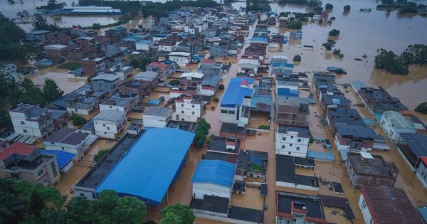 Sau 6 tuần, Trung Quốc bất ngờ nâng số người chết do bão Maysak lên 159