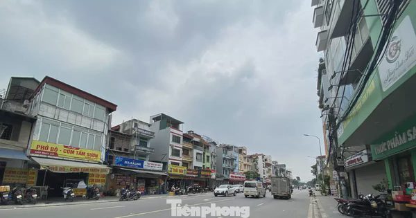 Sau cải tạo, tuyến phố ở Hà Nội không còn cây xanh