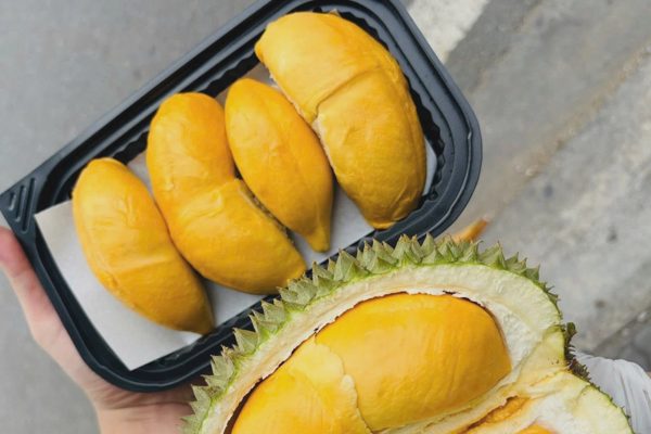 “Sầu gai đen” là giống sầu riêng gì mà giá gần 1 triệu đồng mỗi trái?