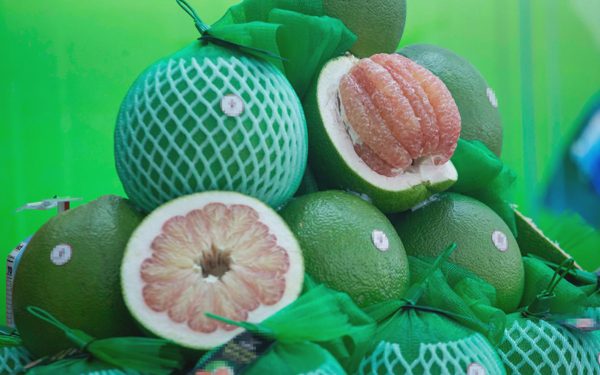 Sau khi tham gia hội chợ, sản phẩm triển lãm của doanh nghiệp sẽ về đâu?