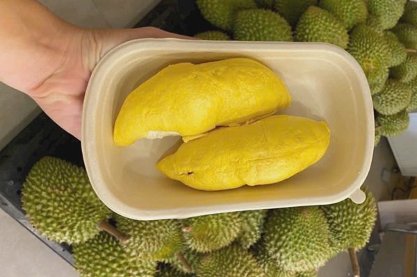 Sầu riêng cuối vụ tăng giá, thương lái săn từng trái vẫn không đủ hàng