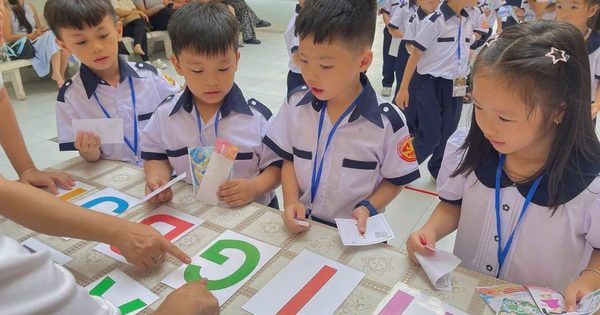 Sau sắp xếp, những phường trung tâm của TP.HCM còn các trường công lập nào?