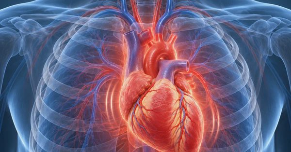 Sau tuổi 40, muốn tim khỏe cần tránh những điều này