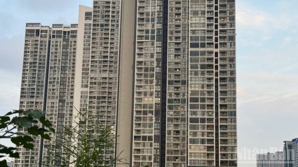 Sẽ tiếp tục hoàn thiện hành lang pháp lý theo hướng đồng bộ, minh bạch, ổn định và có tính dự báo cao