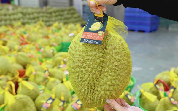 Sẽ truy xuất nguồn gốc sầu riêng từ vùng trồng cho tới đóng gói, kiểm nghiệm, xuất khẩu