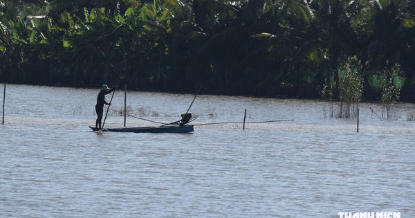 Sét đánh tử vong hai cha con đang kéo lưới ở An Giang