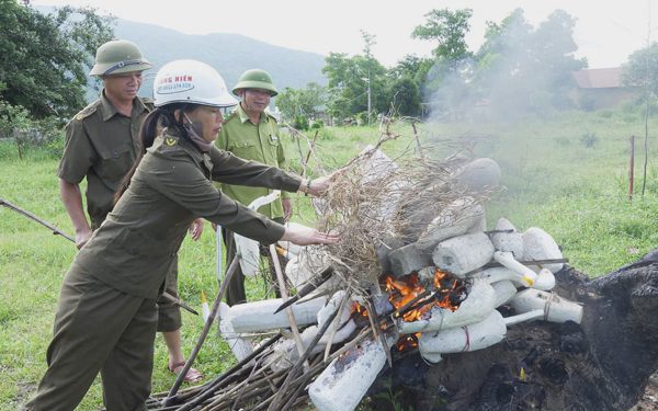 Siết hoạt động mua bán chim trên mạng, tăng cường phá bỏ bẫy để bảo vệ chim trời