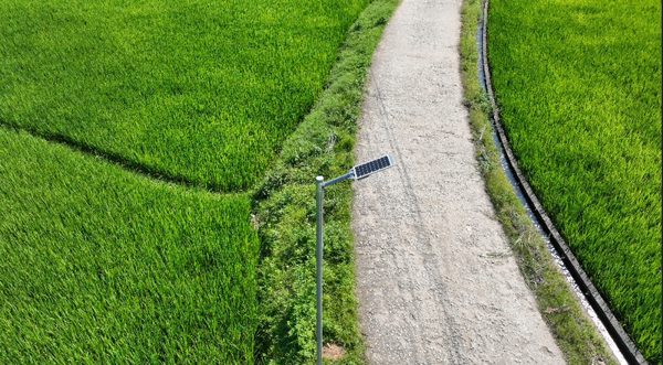 Signify Việt Nam mang ánh sáng năng lượng mặt trời đến 15 xã khó khăn tại Tuyên Quang