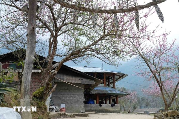 Sin Suối Hồ: Khám phá "thiên đường trong mây"