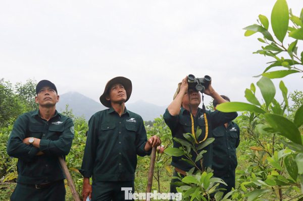 Sinh kế ‘xanh’ dưới tán rừng
