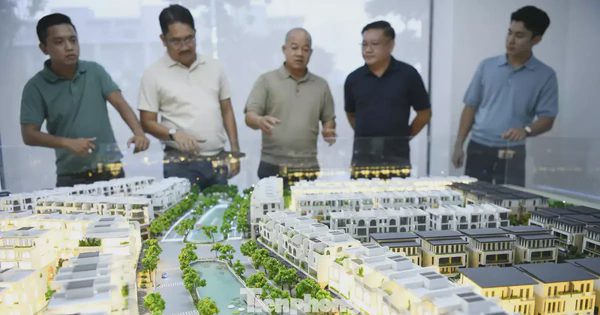 Số hóa dữ liệu bất động sản: Hết thời 'bắt sóng' kiếm lời?