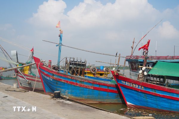 Số hóa quản lý tàu cá, minh bạch nguồn gốc thủy sản