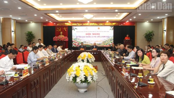Sơn La kết nối giao thương cà-phê Arabica vươn tầm quốc tế