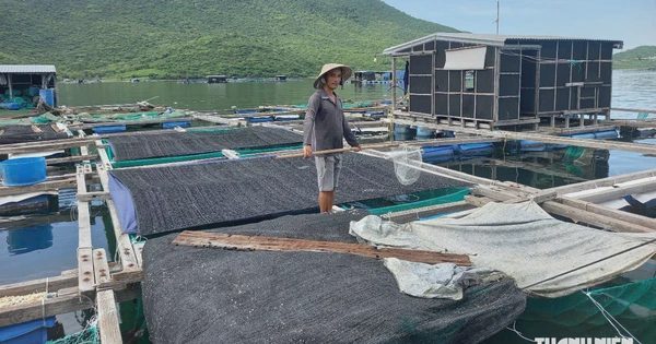 Sống chung với thiên tai: Từ ký ức Damrey đến mùa bão mới
