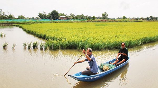 Sống “thuận thiên” trước biến đổi khí hậu