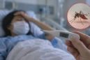 Sốt xuất huyết tăng gấp đôi ở An Giang, đã có ca tử vong