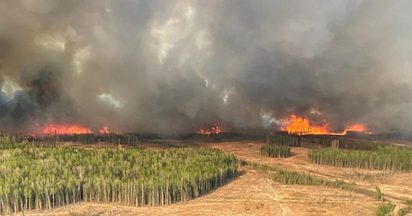 Sự cố nghiêm trọng tại căn cứ quân sự Canada, bệnh viện quá tải