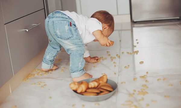 Sự thật 'quy tắc 3 giây' nhặt đồ ăn rơi xuống đất