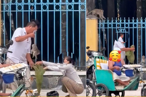 Sự thực về hai người bắt khỉ con ở Tòa thánh Tây Ninh