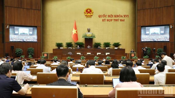 Sửa đổi Luật Nuôi con nuôi: Siết điều kiện nhận con nuôi, ngăn trục lợi bất hợp pháp