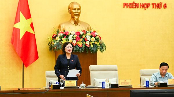 Sửa Luật Đấu thầu: Mở rộng quyền tự chủ phải đi đôi với trách nhiệm giải trình và khả năng kiểm soát