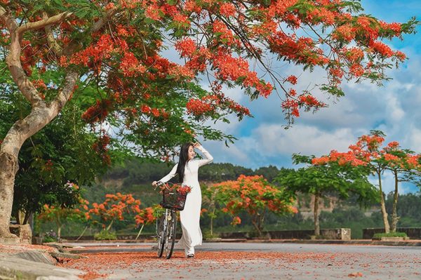 Sức hút du khách từ những mùa hoa, mùa lá nhớ thương