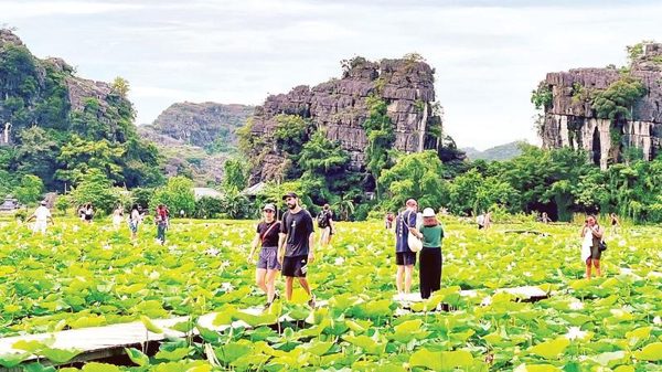 Sức hút từ những mùa hoa