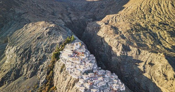 Sức sống mãnh liệt giữa mây ngàn khắc nghiệt Himalaya