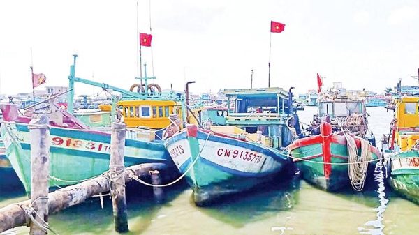 Sức sống mới nơi cửa biển Trần Đề