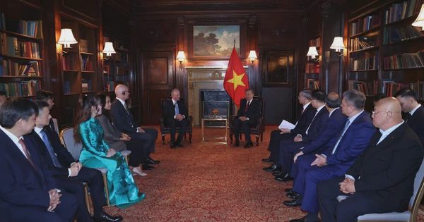 Sun Group bắt tay loạt 'ông lớn' của Mỹ, kết nối du lịch Việt với thế giới