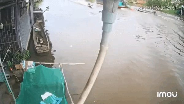 Tai nạn chết người trước ngày khai màn, giải đua vỏ lãi ở Cần Thơ tạm dừng