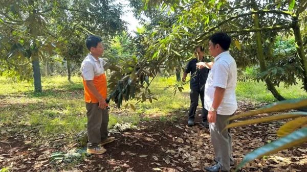 Tái sử dụng tầng đất mặt