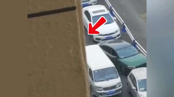 Tài xế ôtô rời chuồng hẹp 'một phát ăn ngay'